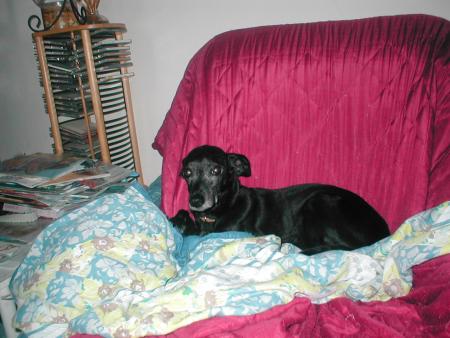 CHOUPETTE